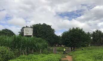 Imagem 2: Fazenda 1.200 hectares em Juazeiro do Piauí
