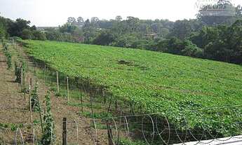 Imagem 4: Casa residencial à venda, Palm Hills, Cotia