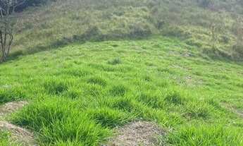 Imagem 3: Vendo área de 58000m2 no GOMERAL com escritura