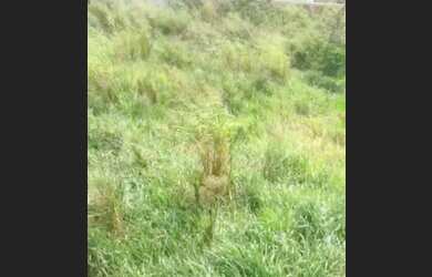 Imagem 6: TERRENO EM BUZIOS