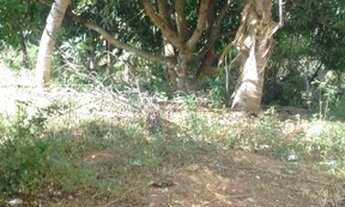 Imagem 5: Terreno com casa em Aliança-Pe