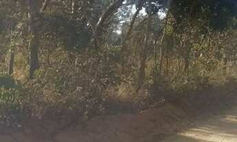 Imagem: Terreno em treis Marias