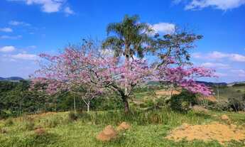 Imagem 7: 27+Lote/Terreno para venda possui 1000 metros quadrados em Jacareí - Igaratá - São Paulo