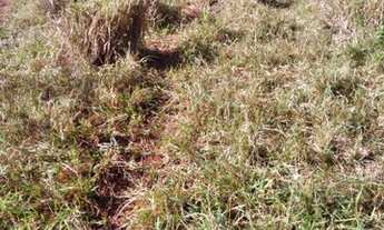 Imagem 2: Terra em Governador Valadares