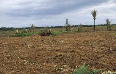 Imagem 4: Vendo sítio de 42 alqueires