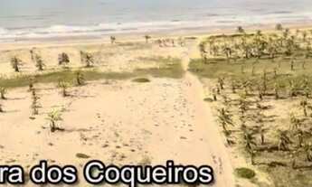 Imagem 2: ÁREA BARRA DOS COQUEIROS JATOBÁ