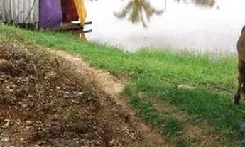 Imagem: Vendo mini-chacara top demais em jaru.!!!!