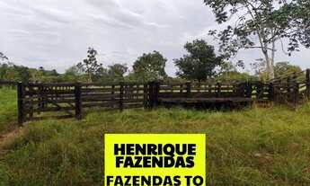 Imagem 6: Fazenda de oportunidade em Divinopolis 25 alq por 1,5 milhões