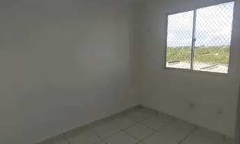 Imagem 5: Aluguel Conquista Torquato