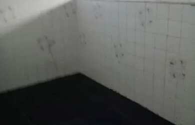 Imagem 4: Alugo casa r$ 600