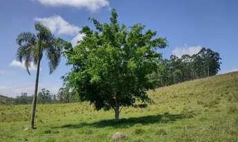 Imagem 3: Terrenos em Igarata 1000 m2