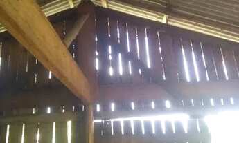 Imagem 3: Galpão Casa com 1 banheiro