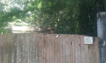 Imagem 15: Casa em Engenho do Mato - Niterói/RJ