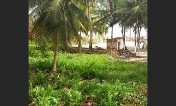 Imagem 6: Terreno com casa