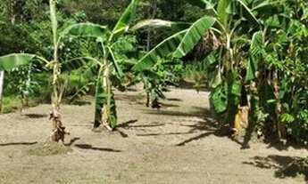 Imagem 4: Venda de terreno