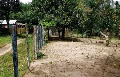 Imagem 4: Sítio na comunidade Livramento