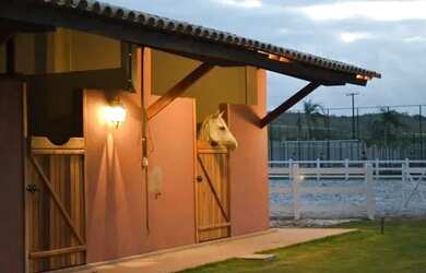 Imagem 5: Lote no haras residence ~ Oportunidade