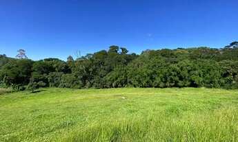 Imagem 7: LP- Terreno próximo de comércios