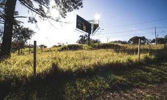 Imagem 3: Terreno - Bairro das Palmeiras - Campinas