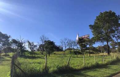 Imagem 6: Terreno - Bairro das Palmeiras - Campinas