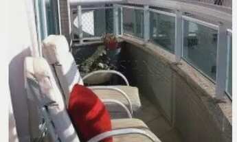 Imagem 3: Apartamento Padrão em São José dos Campos