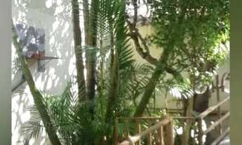 Imagem 7: CASA ASSOBRADADA - SANTA MARIA - SP