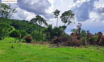 Imagem 5: 7.3 Alqueires todo cercado e gramada dá metade de lavoura perto da PR 180