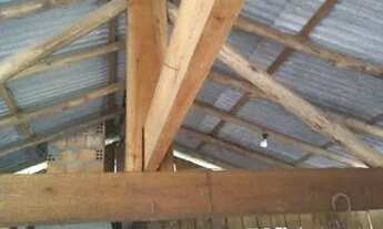 Imagem 4: Galpão Casa com 1 banheiro