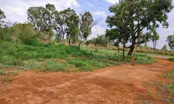 Imagem 2: Chácara DF Planaltina Escriturada Morumbi