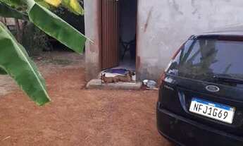 Imagem: Vendo ou troco casa em bela vista de Goiás