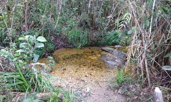 Imagem 4: Terreno 13 ha,com casa, água por gravidade,nascente,Serra do Cipó (Temos varias opções)