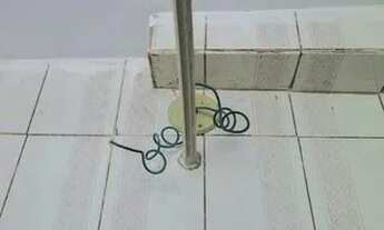 Imagem 6: Casa para Aluguel - Alto Caiçaras, 2 Quartos, 30 m2