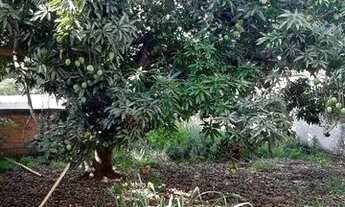 Imagem 7: BAIXEIII..CASA NO GARAVELO SENDO 03/4 NA LAGE LOTE 360 MTS CASA PREÇO DE LOTE NA REGIÃO R