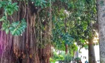 Imagem 5: Temporada Casa Mobiliada em Taquaritinga do Norte-PE