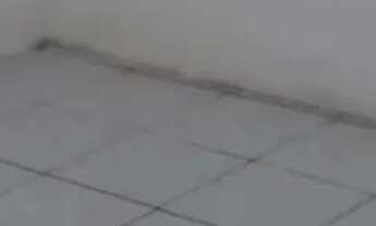 Imagem 7: Vendo quatro casas