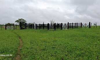 Imagem 2: Linda fazenda de aproximadas, 107t, às margens da Br 324 Norte, toda no capim