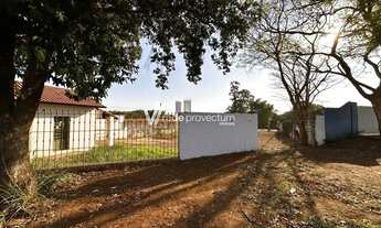 Imagem: área - Parque da Figueira - Paulínia