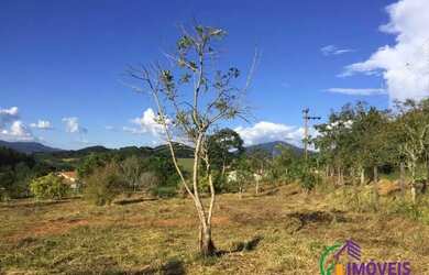 Imagem 4: TERRENO - BOM RETIRO - SP