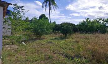 Imagem 5: Vende-se sitio com casa 160,00