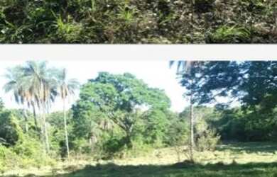 Imagem 5: Fazenda próximo a catalão