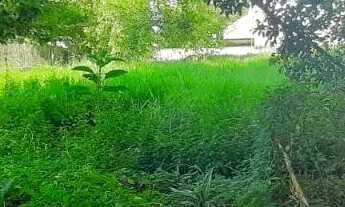 Imagem 3: Ótimo terreno no City Boaçava