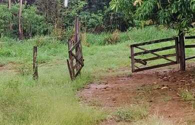 Imagem: Chácara em Bela vista