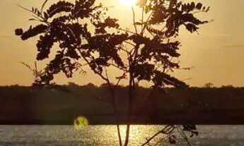 Imagem 2: Terreno em Antônio Cardoso