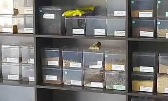 Imagem 7: Loja de produtos naturais