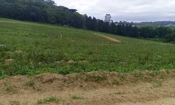 Imagem: Oportunidade de Investir em Terreno