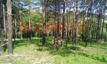 Imagem 3: Terreno em Alvinópolis