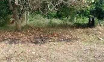 Imagem 3: Vende se Chácara com venda com preço sob consulta