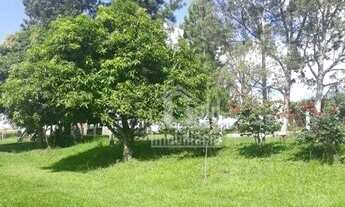 Imagem 3: Sítio à venda, 9 Alqueires por R$ 1.700.000 - Zona Rural - Cajuru/SP