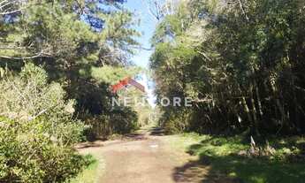 Imagem 5: Lote em Rua Maracujás - Colinas - São Francisco de Paula/RS