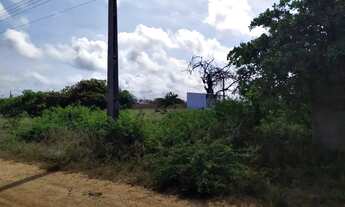 Imagem 2: Lote medindo 432 m² no Loteamento RGA, no Mosqueiro